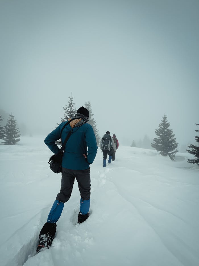 Group of hikers trekking through snow-covered forest in winter mist.